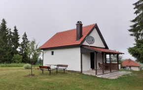 Zlatarski Pogled
